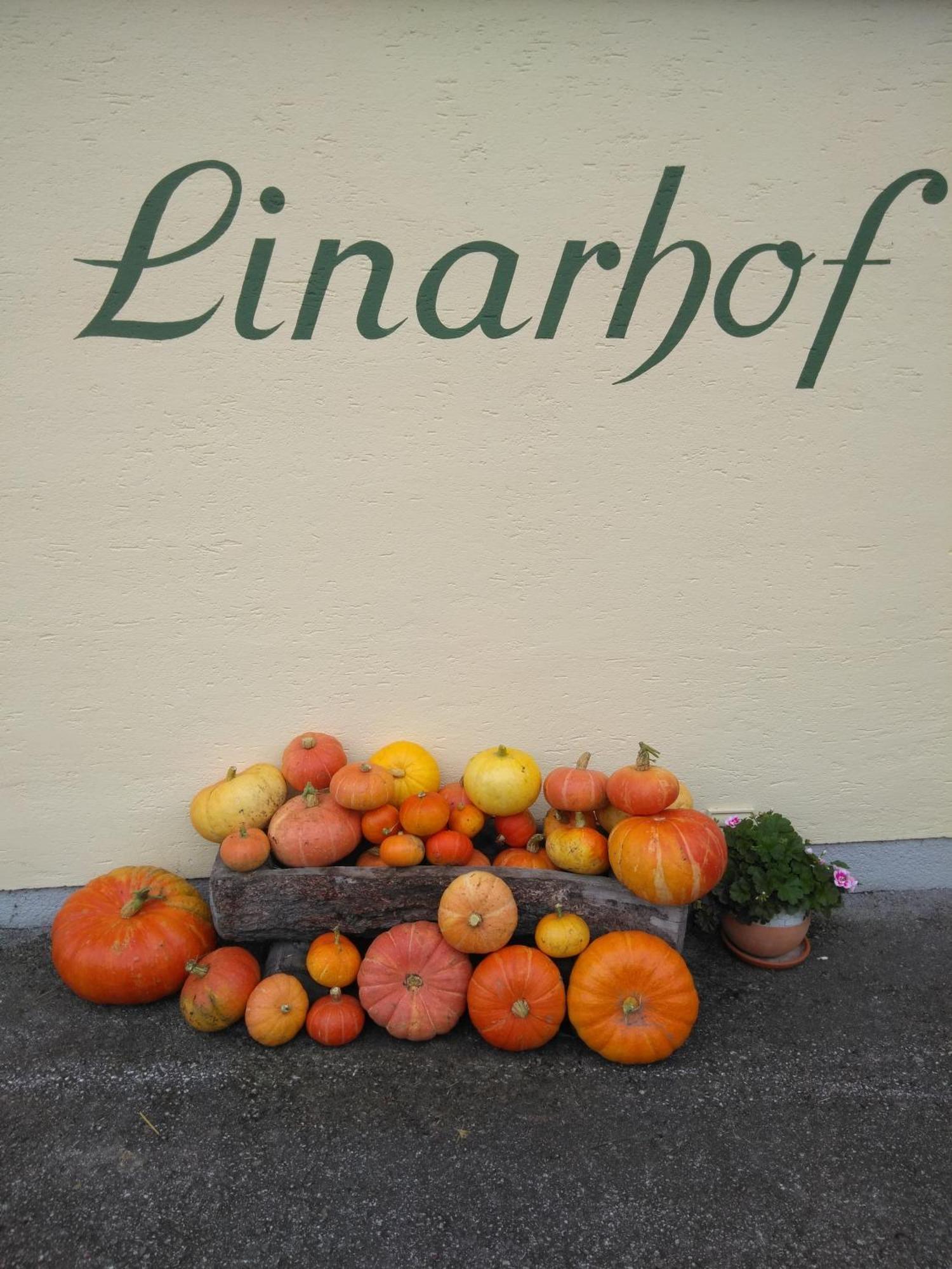 Linarhof Apartment Urlaub Am Bio Bauernhof Haus im Ennstal Ngoại thất bức ảnh